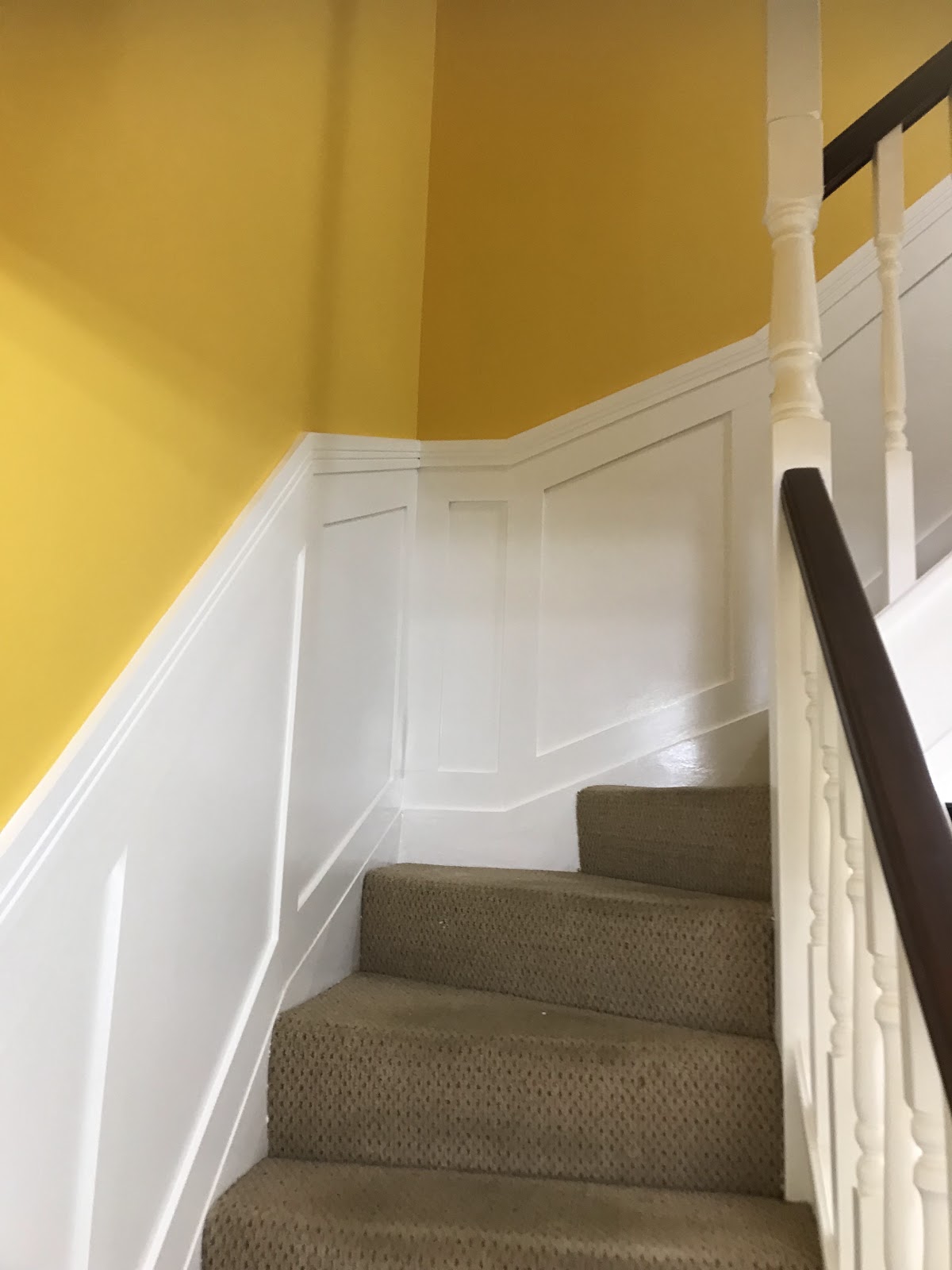 Stairwell painted in deep mustard yellow above crisp white panelling